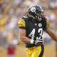 Image for article titled Troy Polamalu